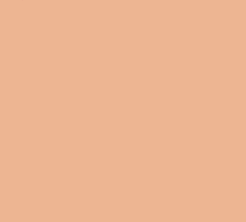 Skin Perfecting Serum Foundation Sample