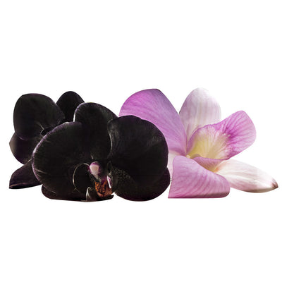 Rare Flowers Night Orchid Eau de Parfum